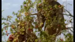 Ведьмак (сериал 2002) 1 сезон 4 серия